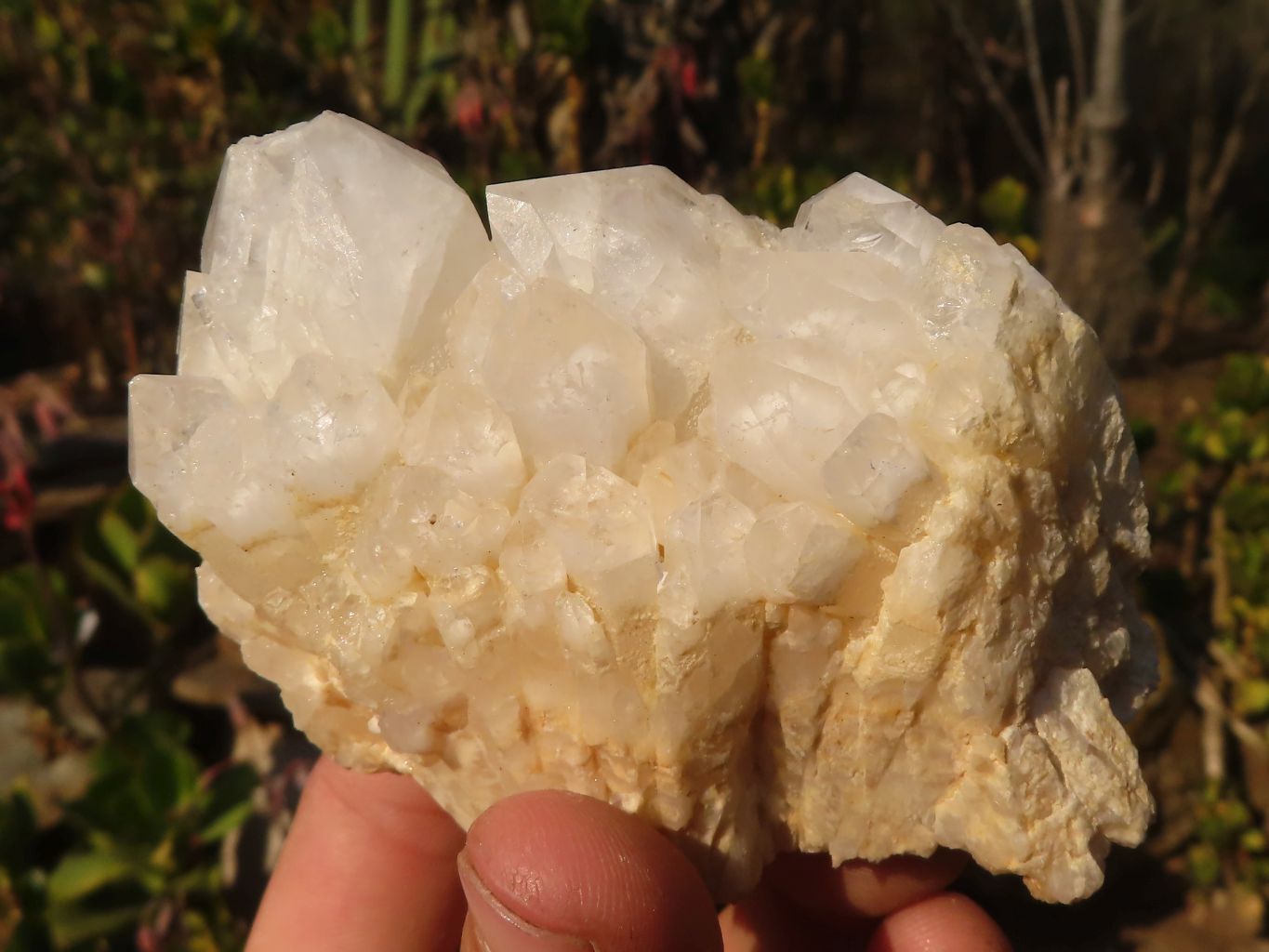 Natural "Cathedral Window" Candle Quartz Formations  x 6 From Madagascar - Toprock Gemstones and Minerals 