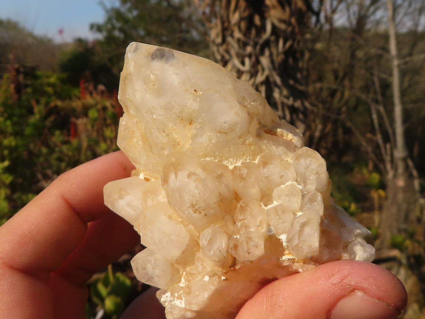 Natural "Cathedral Window" Candle Quartz Formations  x 6 From Madagascar - Toprock Gemstones and Minerals 