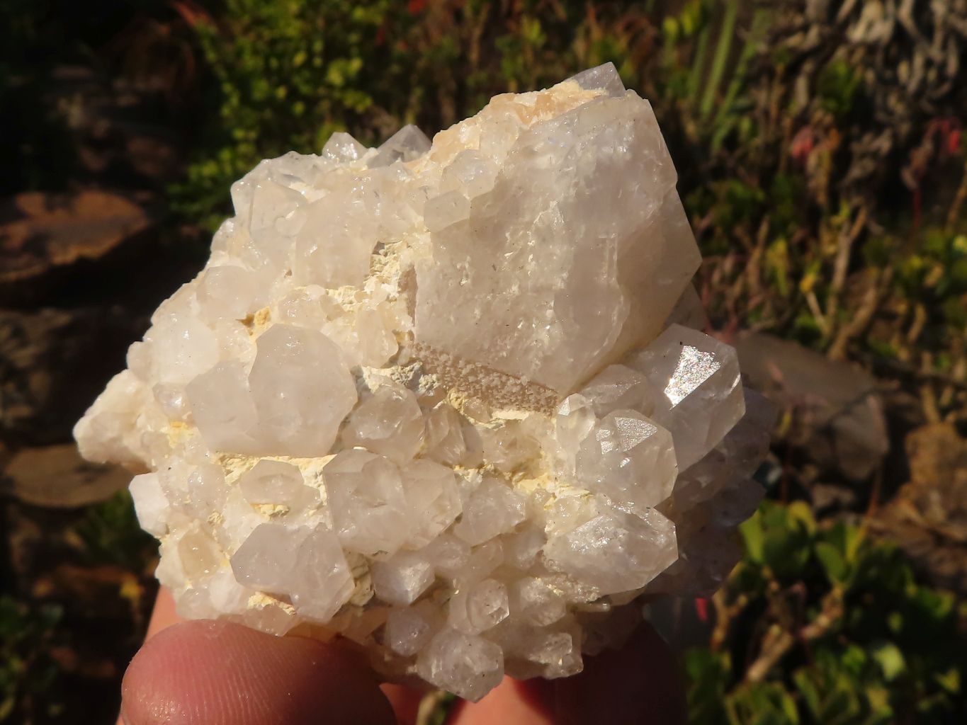 Natural "Cathedral Window" Candle Quartz Formations  x 6 From Madagascar - Toprock Gemstones and Minerals 