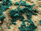Natural Giant Dioptase Specimen With Bright Emerald Green Crystals & Large Dolomite Crystals x 1 From Congo - TopRock