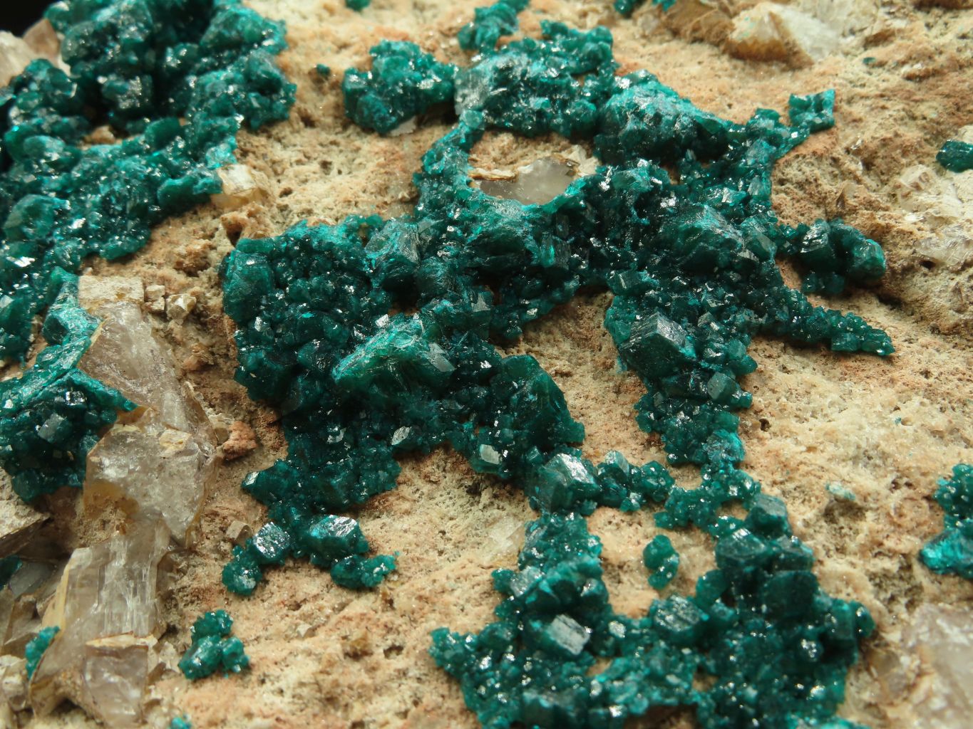 Natural Giant Dioptase Specimen With Bright Emerald Green Crystals & Large Dolomite Crystals x 1 From Congo - TopRock