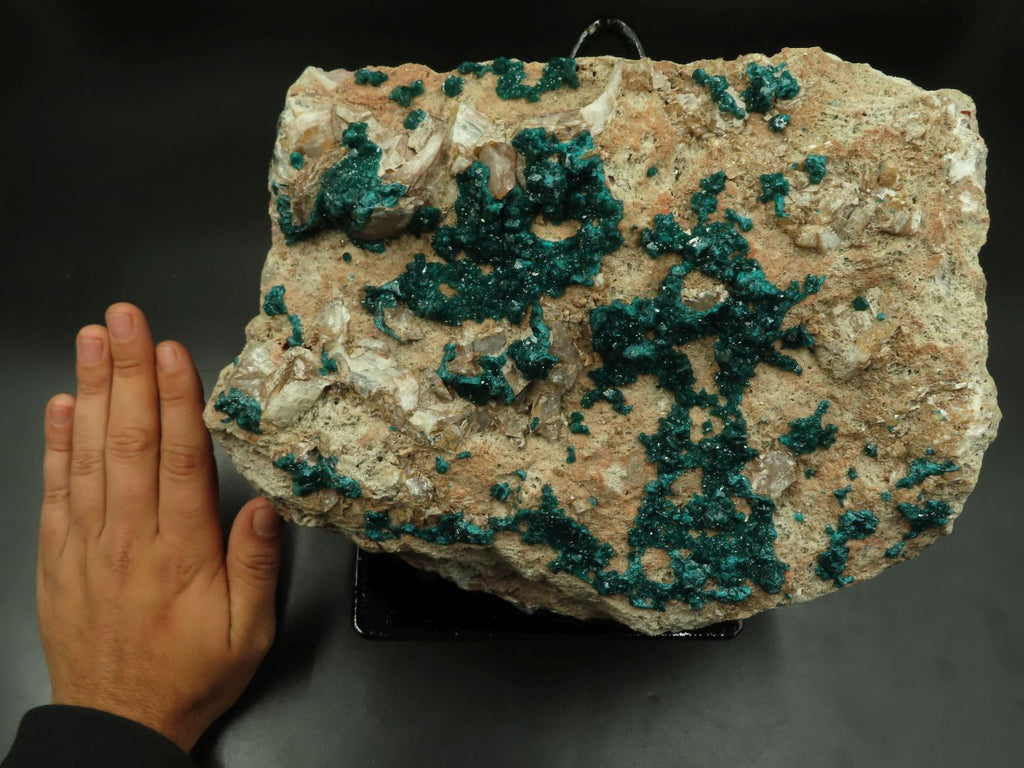 Natural Giant Dioptase Specimen With Bright Emerald Green Crystals & Large Dolomite Crystals x 1 From Congo - TopRock