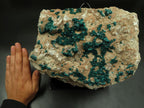 Natural Giant Dioptase Specimen With Bright Emerald Green Crystals & Large Dolomite Crystals x 1 From Congo - TopRock
