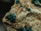 Natural Giant Dioptase Specimen With Bright Emerald Green Crystals & Large Dolomite Crystals x 1 From Congo - TopRock