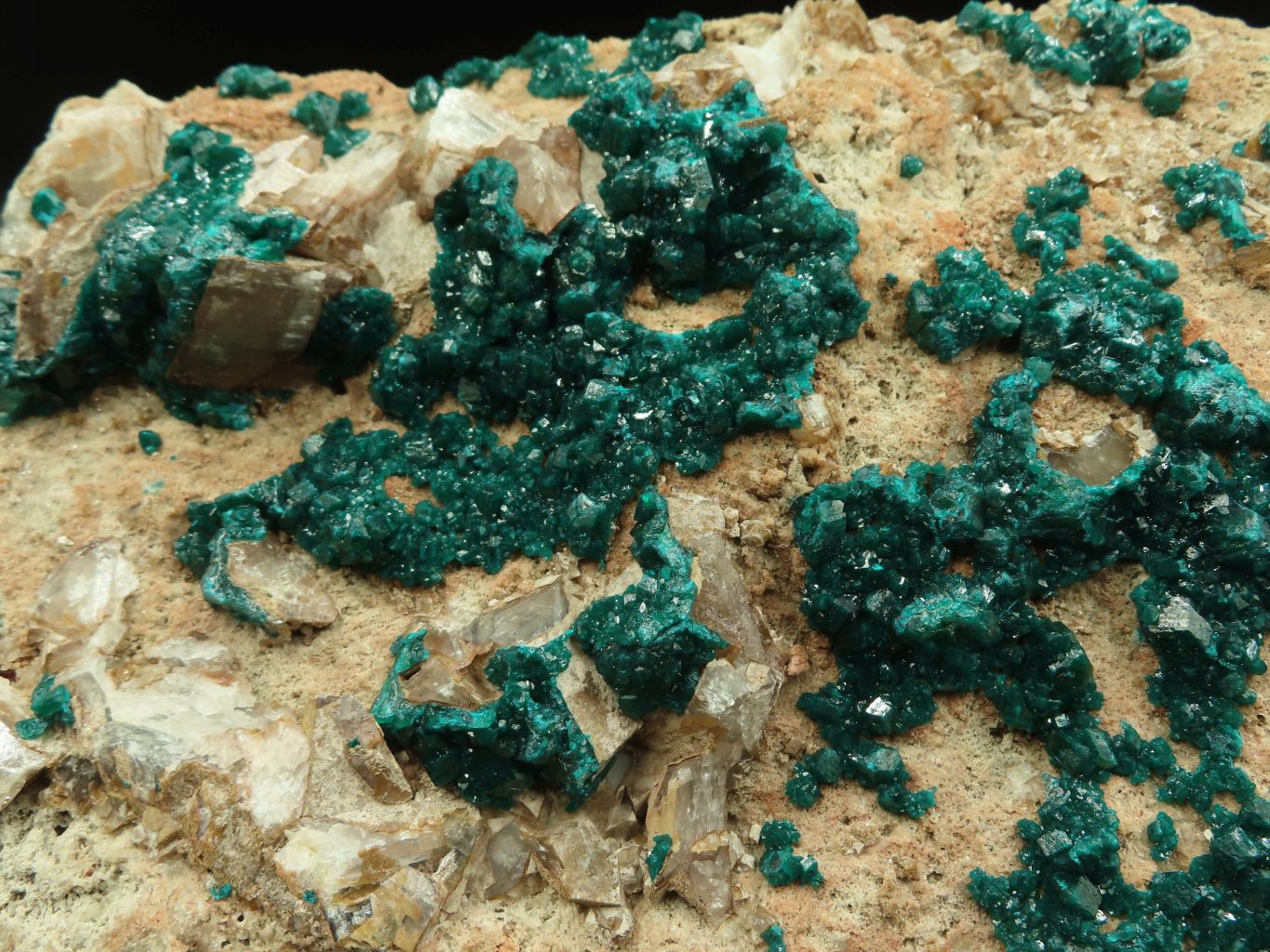 Natural Giant Dioptase Specimen With Bright Emerald Green Crystals & Large Dolomite Crystals x 1 From Congo - TopRock