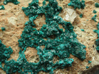 Natural Giant Dioptase Specimen With Bright Emerald Green Crystals & Large Dolomite Crystals x 1 From Congo - TopRock