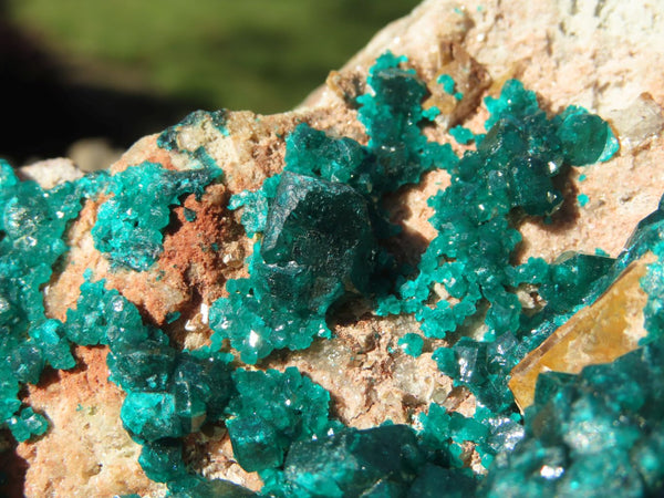 Natural Classic Cabinet Dioptase Specimen With Large Emerald Green Crystals x 1 From Congo - TopRock
