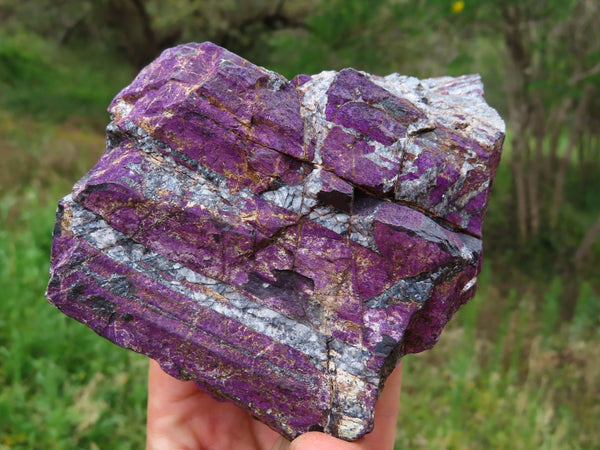 Natural Larger Rough Purpurite Specimens x 2 From Namibia - TopRock