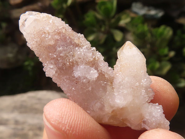 Natural Mixed Mini Spirit Quartz Crystals  x 75 From Boekenhouthoek, South Africa - TopRock