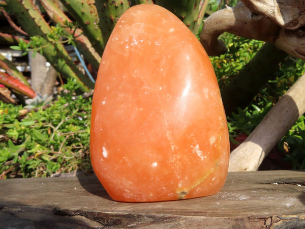 Polished Orange Calcite Standing Free Forms x 2 From Madagascar - TopRock