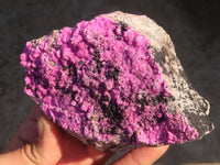Natural Pink Salrose Cobaltion Dolomite Specimens  x 4 From Kakanda, Congo - Toprock Gemstones and Minerals 
