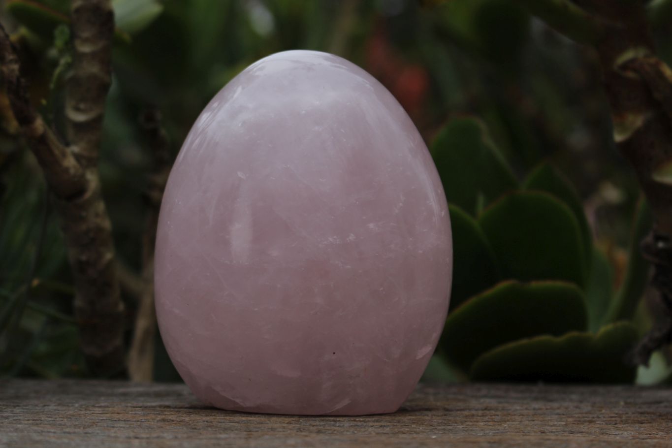 Polished Gemmy Pink Rose Quartz Standing Free Forms  x 3 From Ambatondrazaka, Madagascar - TopRock