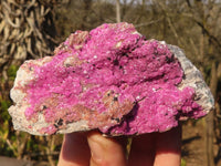 Natural Pink Salrose Cobaltion Dolomite Specimens  x 4 From Kakanda, Congo - Toprock Gemstones and Minerals 