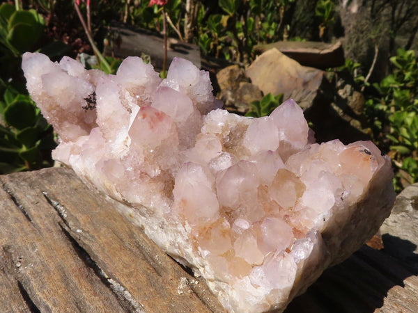 Natural Large Spirit Amethyst Quartz Cluster x 1 From Boekenhouthoek, South Africa - Toprock Gemstones and Minerals 