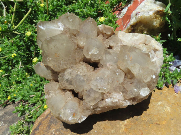 Natural Smokey Phantom Quartz Cluster x 1 From Lwena, Congo - TopRock