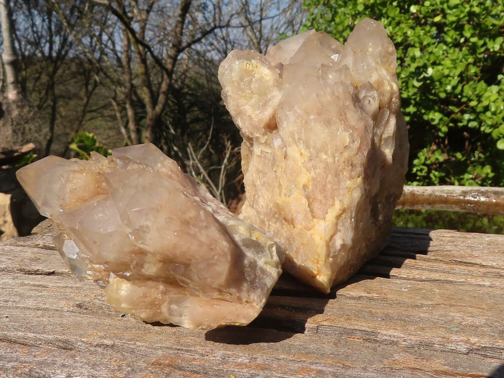 Natural Cascading Smokey Quartz Clusters x 2 From Luena, Congo - Toprock Gemstones and Minerals 