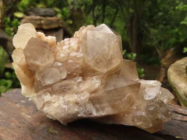 Natural Cascading White Phantom Smokey Quartz Clusters  x 6 From Luena, Congo - Toprock Gemstones and Minerals 