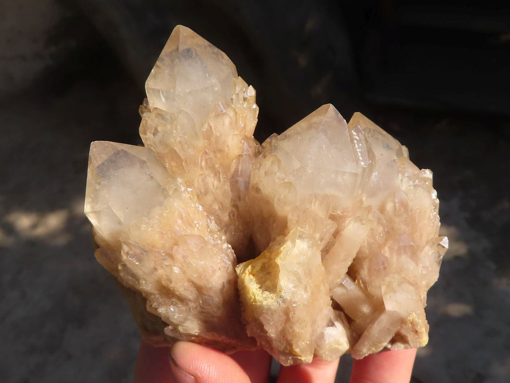 Natural Cascading Smokey Quartz Clusters x 2 From Luena, Congo - Toprock Gemstones and Minerals 