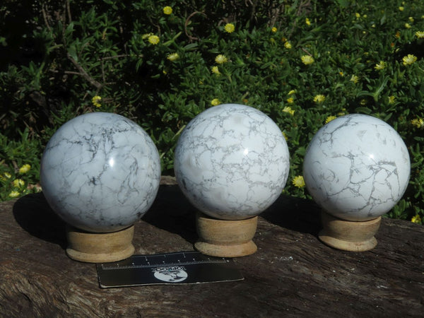 Polished White Howlite Spheres x 3 From Zimbabwe - TopRock