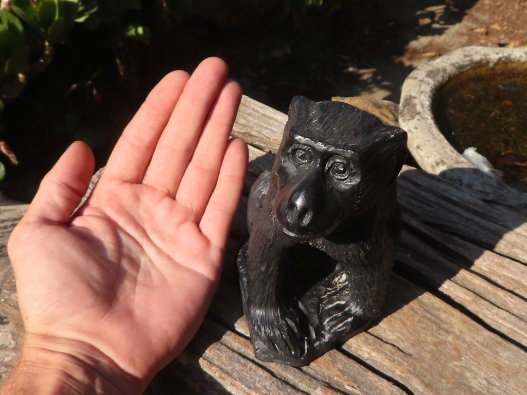Polished  Black Soapstone Baboon Carving x 1 From Zimbabwe - Toprock Gemstones and Minerals 