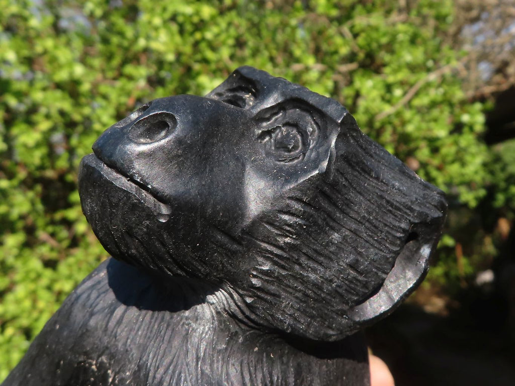 Polished  Black Soapstone Baboon Carving x 1 From Zimbabwe - Toprock Gemstones and Minerals 