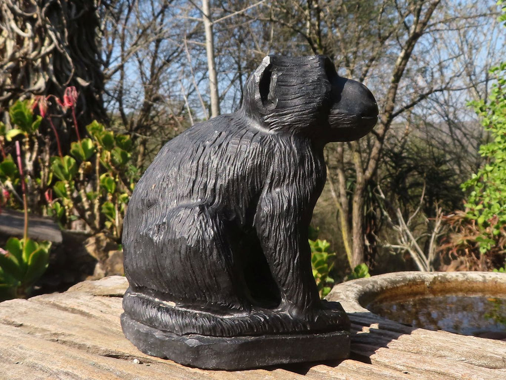 Polished  Black Soapstone Baboon Carving x 1 From Zimbabwe - Toprock Gemstones and Minerals 