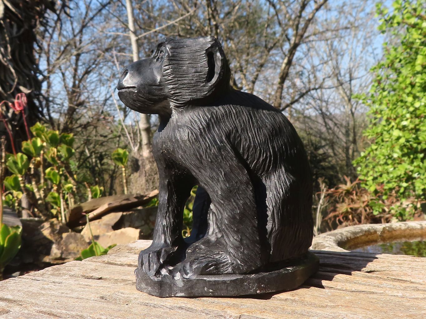 Polished  Black Soapstone Baboon Carving x 1 From Zimbabwe - Toprock Gemstones and Minerals 
