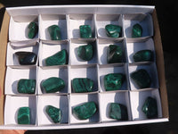 Polished  Flower Banded Malachite Free Forms  x 20 From Congo - Toprock Gemstones and Minerals 