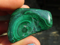 Polished  Flower Banded Malachite Free Forms  x 20 From Congo - Toprock Gemstones and Minerals 