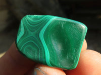 Polished  Flower Banded Malachite Free Forms  x 20 From Congo - Toprock Gemstones and Minerals 