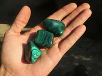 Polished  Flower Banded Malachite Free Forms  x 20 From Congo - Toprock Gemstones and Minerals 