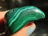 Polished  Flower Banded Malachite Free Forms  x 20 From Congo - Toprock Gemstones and Minerals 