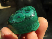 Polished  Flower Banded Malachite Free Forms  x 20 From Congo - Toprock Gemstones and Minerals 