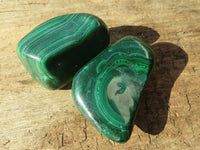 Polished  Flower Banded Malachite Free Forms  x 20 From Congo - Toprock Gemstones and Minerals 