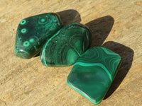 Polished  Flower Banded Malachite Free Forms  x 20 From Congo - Toprock Gemstones and Minerals 