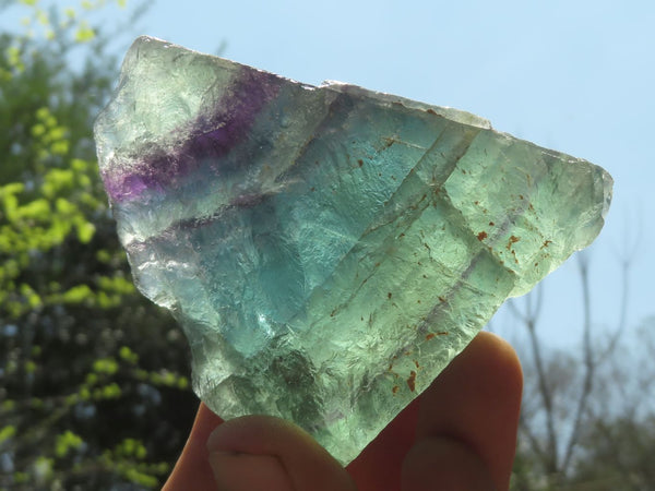Natural Selected Watermelon Fluorite Cobbed Pieces x 24 From Uis, Namibia