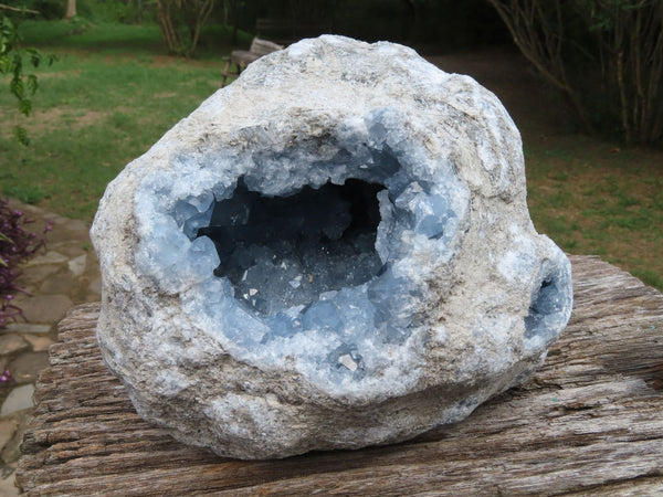 Natural Large Blue Celestite Crystal Geode x 1 From Sakoany, Madagascar - TopRock