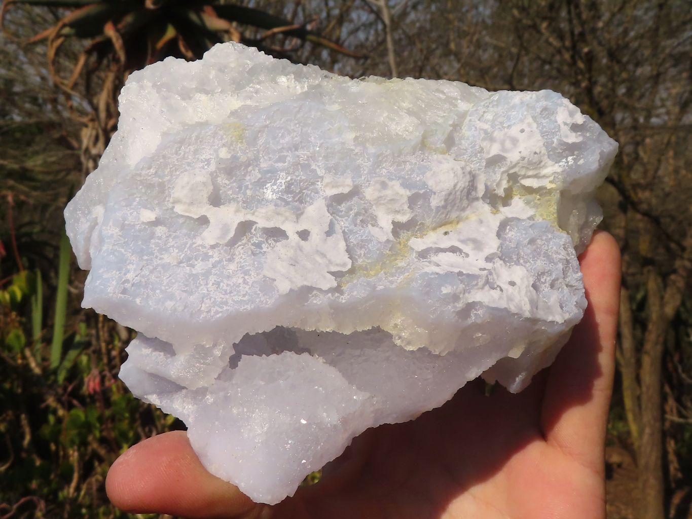 Natural Etched Blue Chalcedony Specimens x 3 From Nsanje, Malawi - Toprock Gemstones and Minerals 