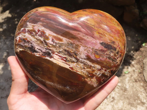 Polished Extra Large Petrified Podocarpus Wood Heart  x 1 From Madagascar - TopRock