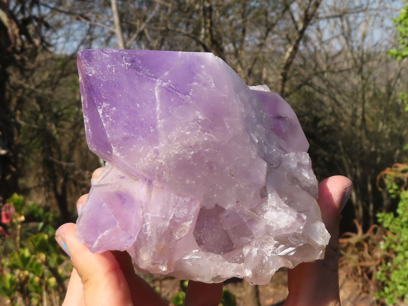 Natural Jacaranda Amethyst Clusters x 2 From Zambia - Toprock Gemstones and Minerals 