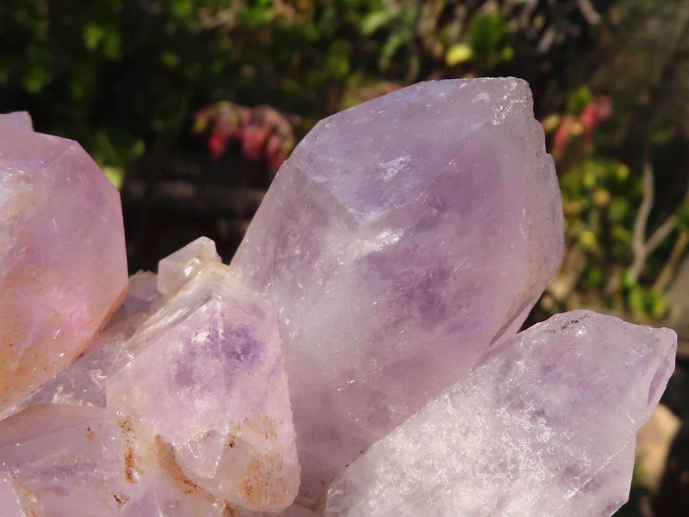Natural Jacaranda Amethyst Clusters x 2 From Zambia - Toprock Gemstones and Minerals 