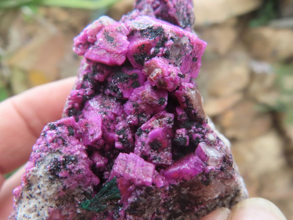 Natural Pink Salrose Cobaltion Dolomite Specimens  x 6 From Congo - Toprock Gemstones and Minerals 