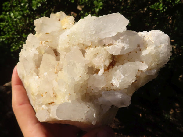 Natural Sugar Quartz Crystal Cluster  x 1 From Ambatofinadrahana, Madagascar - Toprock Gemstones and Minerals 