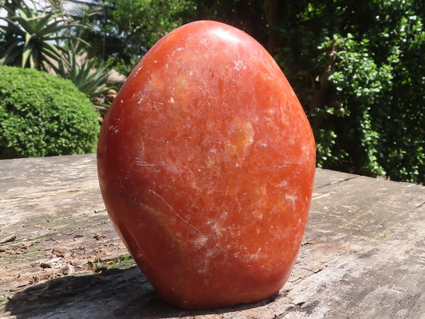 Polished Deep Orange Twist Calcite Standing Free Form  x 1 From Madagascar - TopRock