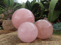 Polished Star Rose Quartz Spheres  x 3 From Madagascar - Toprock Gemstones and Minerals 