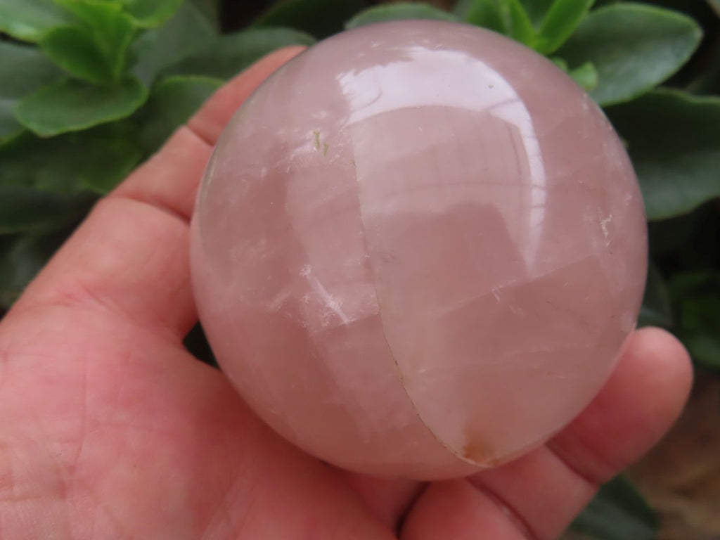 Polished Star Rose Quartz Spheres  x 3 From Madagascar - Toprock Gemstones and Minerals 