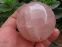 Polished Star Rose Quartz Spheres  x 3 From Madagascar - Toprock Gemstones and Minerals 