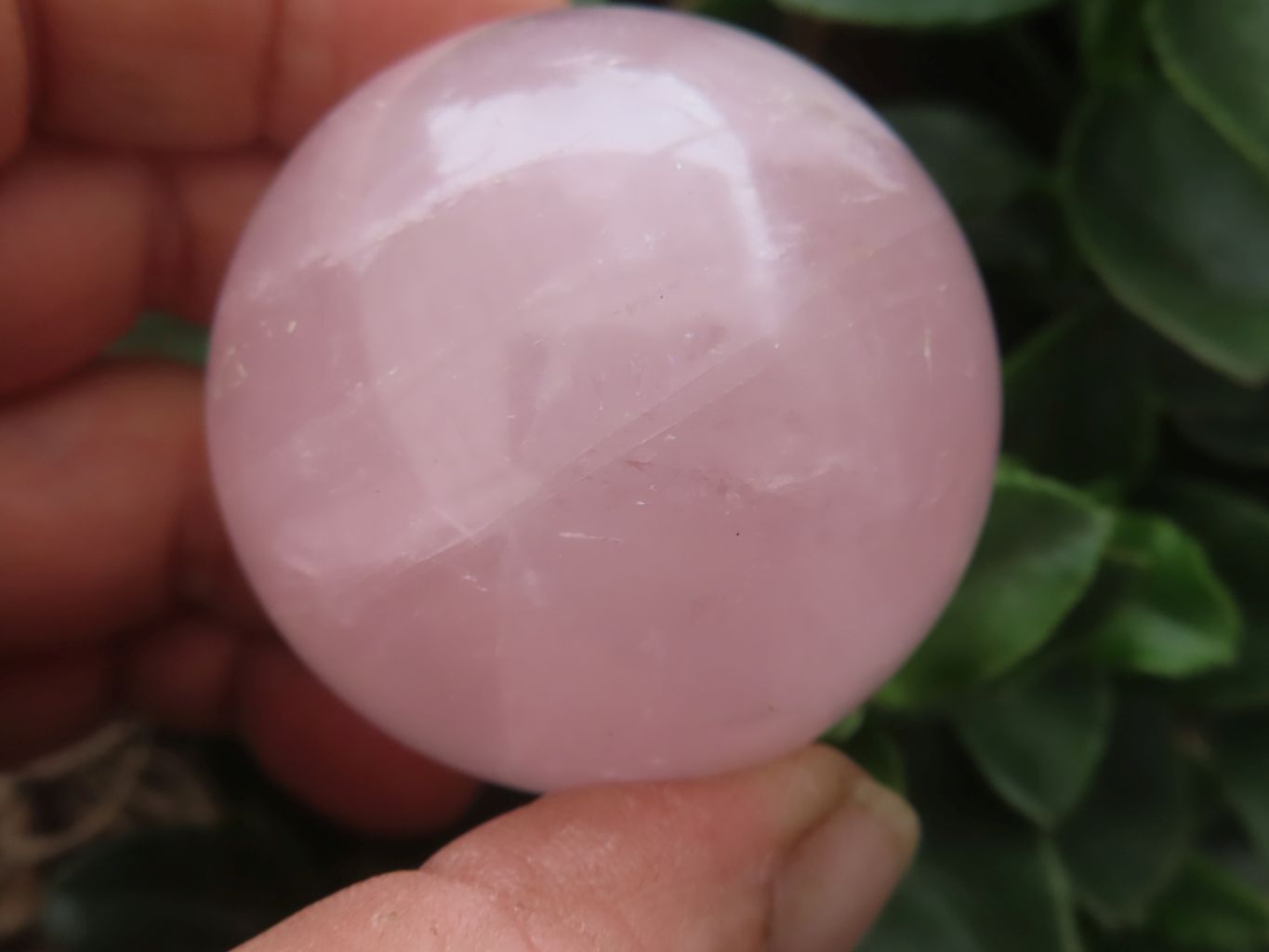 Polished Star Rose Quartz Spheres  x 3 From Madagascar - Toprock Gemstones and Minerals 