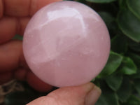 Polished Star Rose Quartz Spheres  x 3 From Madagascar - Toprock Gemstones and Minerals 