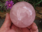 Polished Star Rose Quartz Spheres  x 3 From Madagascar - Toprock Gemstones and Minerals 